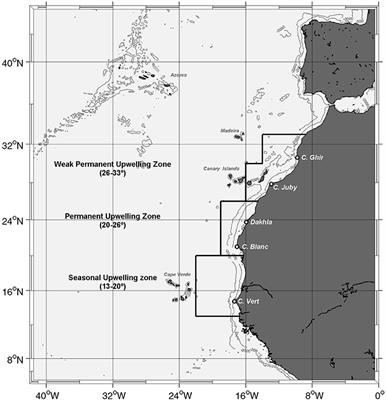 Trends in Primary Production in the Canary Current Upwelling System—A Regional Perspective Comparing Remote Sensing Models